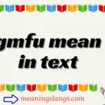 gmfu mean in text
