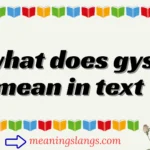 what does gys mean in text