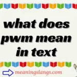 what does pwm mean in text