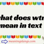 what does wtn mean in text