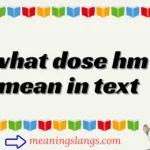 what dose hm mean in text