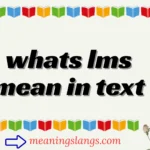whats lms mean in text