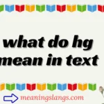 what do hg mean in text