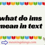 what do ims mean in text