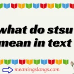what do stsu mean in text