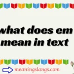 what does em mean in text