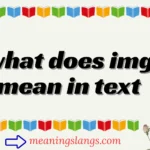 what does img mean in text