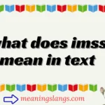 what does imss mean in text