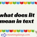 what does lit mean in text