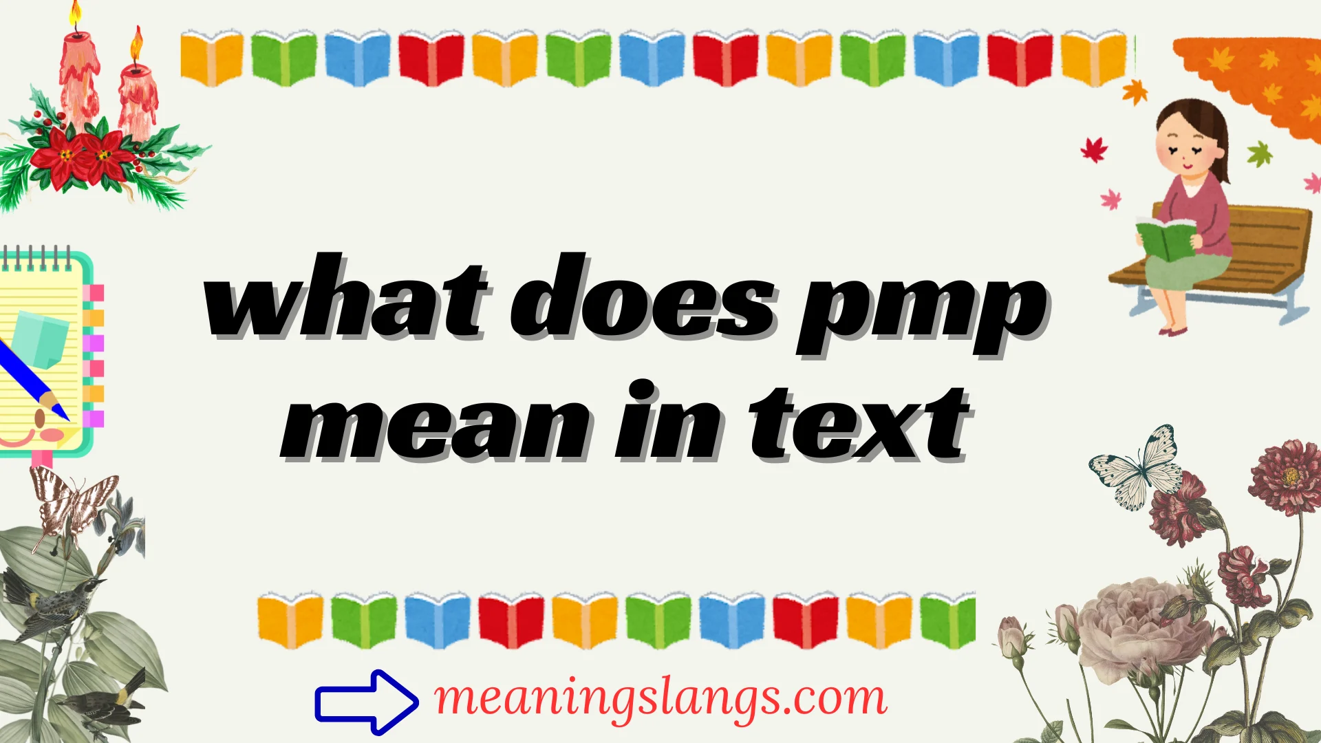 what does pmp mean in text