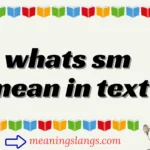 whats sm mean in text