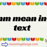 nm mean in text