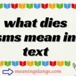 what dies sms mean in text