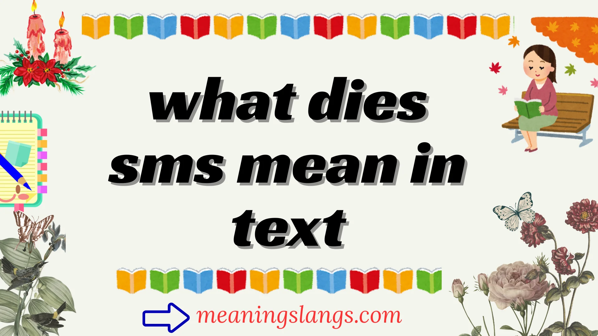 what dies sms mean in text