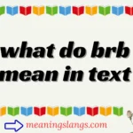 what do brb mean in text