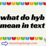 what do hyb mean in text