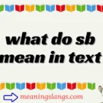 what do sb mean in text
