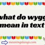 what do wygg mean in text