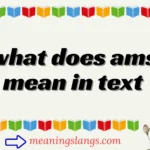 what does ams mean in text
