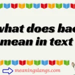 what does bae mean in text