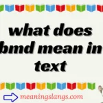 what does bmd mean in text
