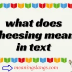 what does cheesing mean in text