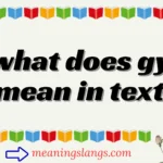 what does gy mean in text