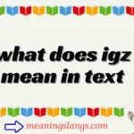 what does igz mean in text