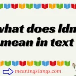 what does ldm mean in text