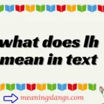 what does lh mean in text
