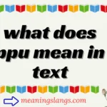 what does ppu mean in text