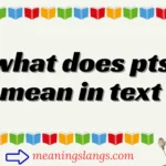 what does pts mean in text