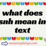 what does snh mean in text