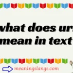 what does url mean in text