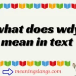 what does wdy mean in text