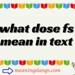 what dose fs mean in text