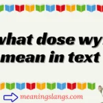 what dose wyf mean in text