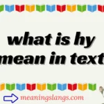 what is hy mean in text