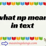 what np mean in text