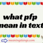 what pfp mean in text