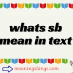whats sb mean in text