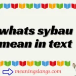whats sybau mean in text