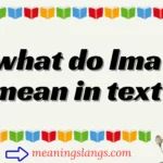 what do lma mean in text