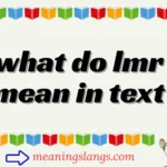 what do lmr mean in text