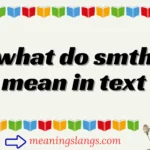 what do smth mean in text