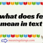 what does fe mean in text