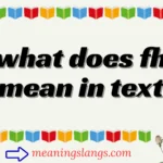what does fh mean in text