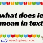 what does ie mean in text