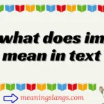 what does im mean in text
