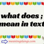 what does ; mean in text